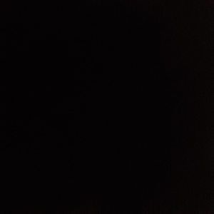 Meet your Posher, Craig